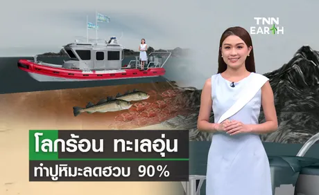 โลกร้อน น้ำทะลอุ่น ปูหิมะลดฮวบ 90%