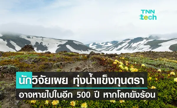 นักวิจัยเผย ทุ่งน้ำแข็งทุนดราในรัสเซีย อาจหายไปในอีก 500 ปี พร้อมปลดปล่อยคาร์บอนมหาศาล