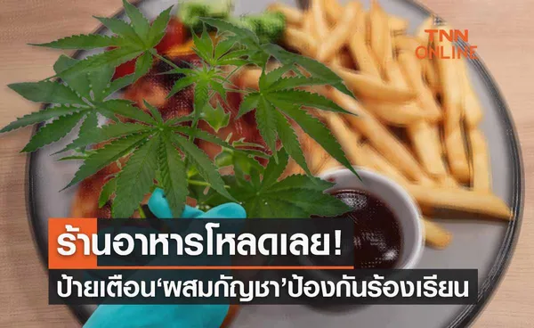 แจกป้ายเตือน ‘อาหารผสมกัญชา’ โหลดใช้เลยถ้าไม่อยากโดนผู้บริโภคร้องเรียน