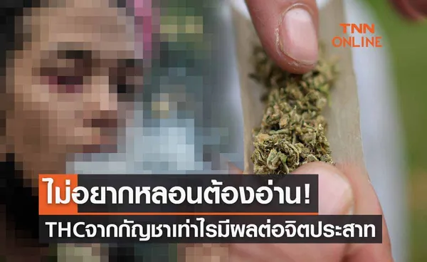 ไม่อยากหลอนต้องอ่าน! รับสาร THC จาก ‘ใช้กัญชา’ เท่าใดถึงมีผลต่อจิตประสาท