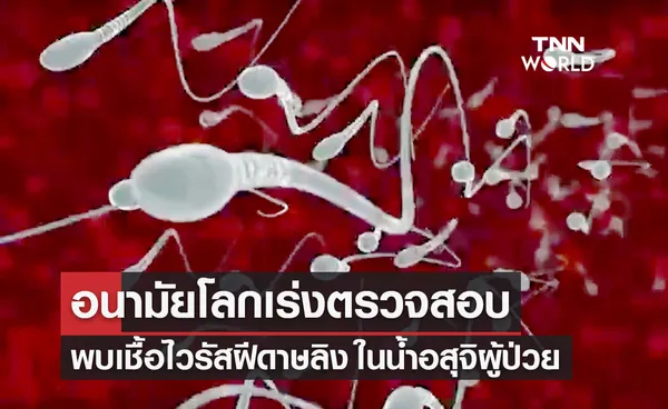 องค์การอนามัยโลก เร่งตรวจสอบหลังพบเชื้อไวรัส ฝีดาษลิง ในน้ำอสุจิผู้ป่วย