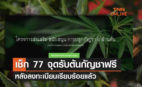 เผย 77 จุดรับ ‘ต้นกัญชาฟรี’ ของกรมวิชาการเกษตร เช็กเลยที่นี่