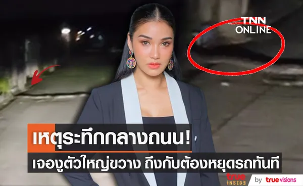 ขอเลขรถ! ชมพู่ หลังเจอเหตุระทึก งูตัวใหญ่เลื้อยขวาง ต้องหยุดทันที