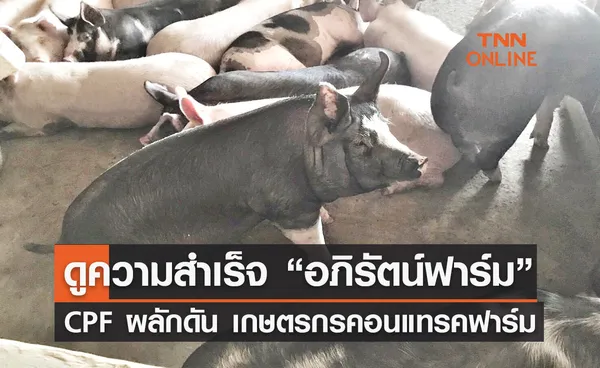 ตามดูความสำเร็จ “อภิรัตน์ฟาร์ม” ซีพีเอฟผลักดัน เกษตรกรคอนแทรคฟาร์ม