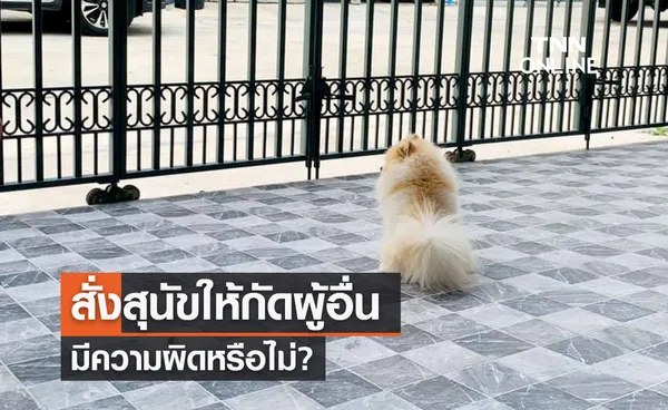 เปิดข้อกฎหมาย สั่งสุนัขให้กัดผู้อื่น มีความผิดหรือไม่?