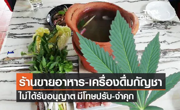 ร้านขายอาหาร เครื่องดื่มกัญชา ต้องขอใบอนุญาต ฝ่าฝืนมีโทษปรับ-จำคุก