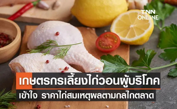 เกษตรกรเลี้ยงไก่ วอนผู้บริโภคเข้าใจ ราคาไก่สมเหตุผลตามกลไกตลาด