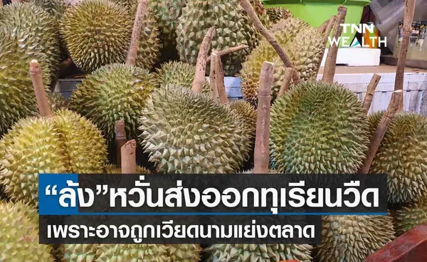 ล้งหวั่นส่งออก ทุเรียน วืดจากการถูกเวียดนามแย่งตลาด