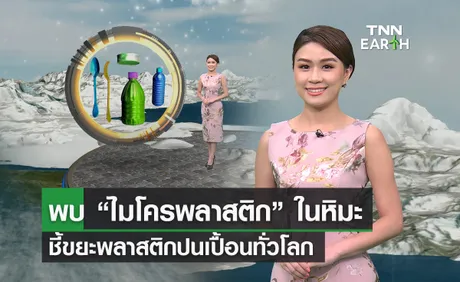 พบ “ไมโครพลาสติก” ในหิมะ ชี้ปัญหาขยะพลาสติกปนเปื้อนทั่วโลก