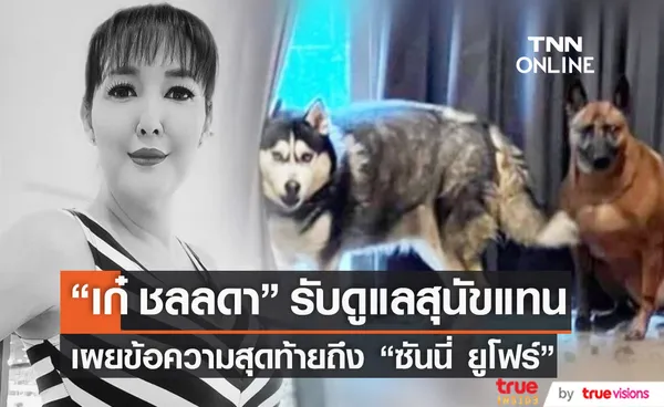 เก๋ ชลลดา รับดูแลสุนัขของ ซันนี่ ยูโฟร์ หลังเสียชีวิตกะทันหัน (มีคลิป)