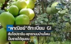 “พาณิชย์ตีทะเบียน  GI ส้มโอปราจีน-พุทรานมบ้านโพน ปั๊มรายได้ชุมชน