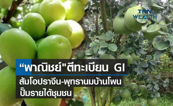 “พาณิชย์ตีทะเบียน  GI ส้มโอปราจีน-พุทรานมบ้านโพน ปั๊มรายได้ชุมชน