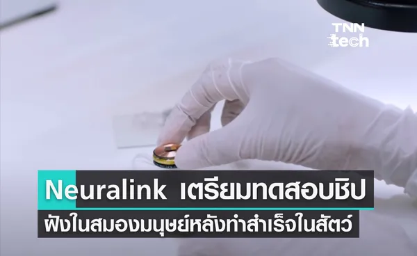 Neuralink เตรียมทดสอบชิปฝังสมองในมนุษย์