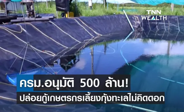 ครม.อนุมัติ 500 ล้าน! ปล่อยกู้เกษตรกรเลี้ยงกุ้งทะเลไม่คิดดอก