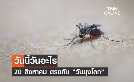 วันนี้วันอะไร 20 สิงหาคม ตรงกับ วันยุงโลก”