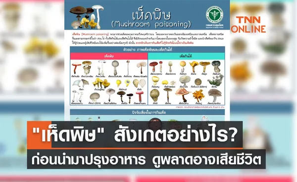 เห็ดพิษ สังเกตอย่างไร? แพทย์เตือน! ไม่รู้จัก-ไม่แน่ใจ-ไม่กิน  เสี่ยงเสียชีวิตได้ 