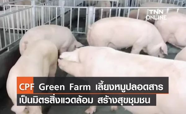 CPF Green Farm เลี้ยงหมูปลอดสาร เป็นมิตรสิ่งแวดล้อม สร้างสุขชุมชน