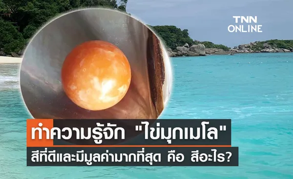 ไข่มุกเมโล เกิดจากอะไร สีที่ดีและมีมูลค่ามากที่สุด คือ สีนี้?