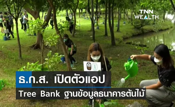 ธ.ก.ส. เปิดตัวแอป Tree Bank สร้างฐานข้อมูลธนาคารต้นไม้ 