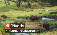 วันนี้วันอะไร 4 กันยายน ตรงกับ “วันสัตว์ป่าสากล”