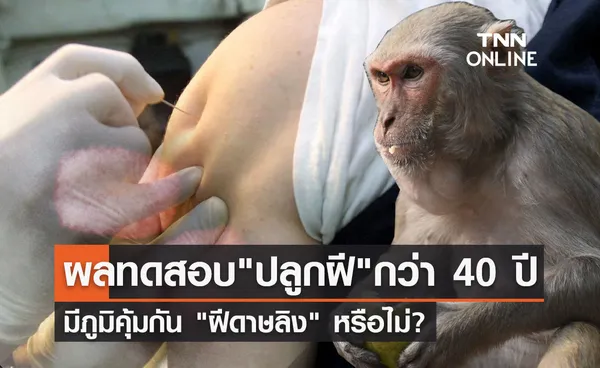 กรมวิทย์ฯเปิดผลทดสอบ ปลูกฝี กว่า 40 ปี มีภูมิคุ้มกัน ฝีดาษลิง หรือไม่?