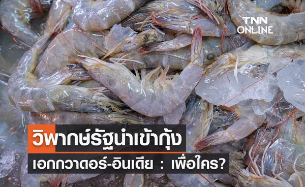 วิพากษ์รัฐนำเข้ากุ้งเอกกวาดอร์-อินเดีย : เพื่อใคร?