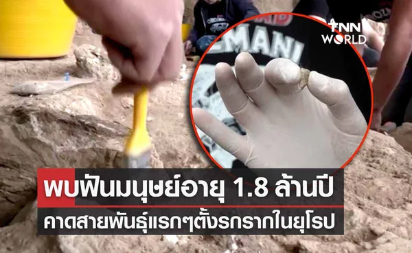 นักโบราณคดีพบฟันมนุษย์อายุ 1.8 ล้านปี คาดสายพันธุ์แรกตั้งรกรากในยุโรป