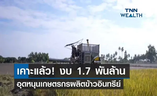 เคาะแล้ว! งบ 1.7 พันล้าน อุดหนุนเกษตรกรผลิตข้าวอินทรีย์ 