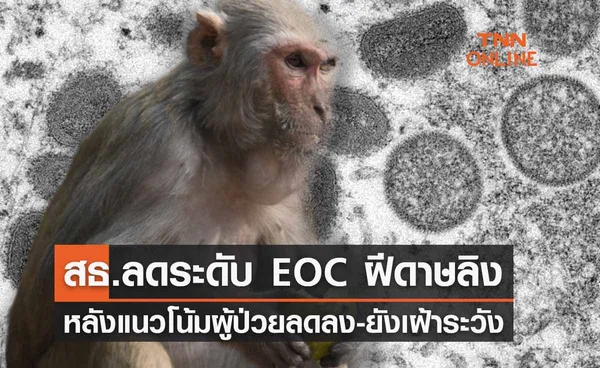 สธ.ลดระดับศูนย์ EOC ฝีดาษลิง หลังแนวโน้มผู้ป่วยลดลง-ยังเฝ้าระวัง