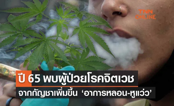 โรงพยาบาลจิตเวชพบผู้ป่วยจาก ‘กัญชา’ เพิ่มต่อเนื่อง  