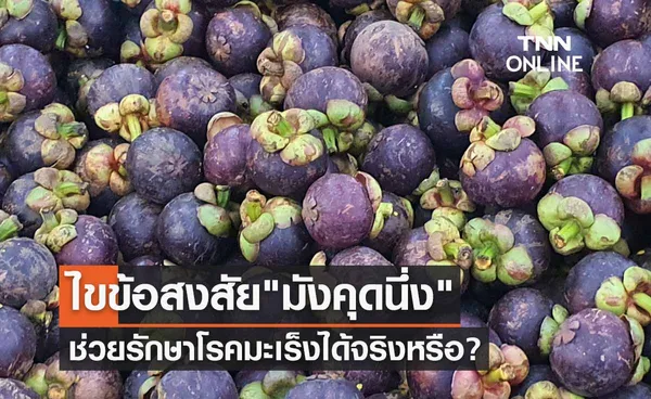 ไขข้อสงสัย มังคุดนึ่ง ช่วยรักษาโรคมะเร็งได้จริงหรือ?