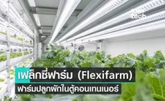 เฟล็กซี่ฟาร์ม (FlexiFarm) ฟาร์มปลูกผักในคอนเทนเนอร์