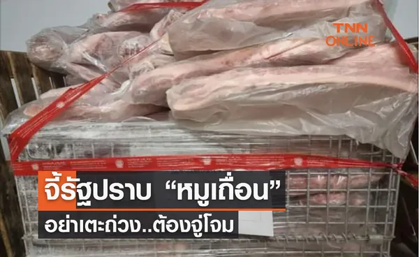 จี้รัฐปราบ “หมูเถื่อน” อย่าเตะถ่วง..ต้องจู่โจม 