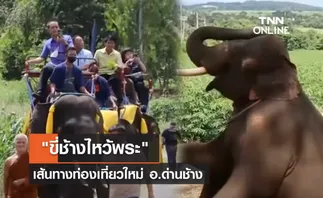 (คลิป) ขี่ช้างไหว้พระเส้นทางท่องเที่ยวใหม่ อ.ด่านช้าง