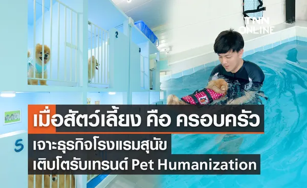 เจาะธุรกิจโรงแรมสุนัข zu Hause โตรับเทรนด์ Pet Humanization