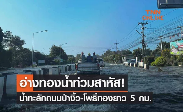 อ่างทองน้ำท่วมสาหัส! คันดินแตกน้ำทะลักถนนป่างิ้ว-โพธิ์ทองระยะทาง 5 กม. 