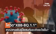 จับตาโควิดสายพันธุ์ย่อย XBB-BQ.1.1 หากไวรัส 2 สายพันธุ์นี้ผสมกันจะเกิดอะไรขึ้น?