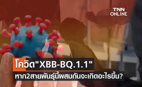 จับตาโควิดสายพันธุ์ย่อย XBB-BQ.1.1 หากไวรัส 2 สายพันธุ์นี้ผสมกันจะเกิดอะไรขึ้น?