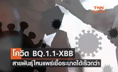 โควิด BQ.1.1-XBB ไวรัสสายพันธุ์ไหนแพร่เชื้อระบาดได้เร็วกว่า