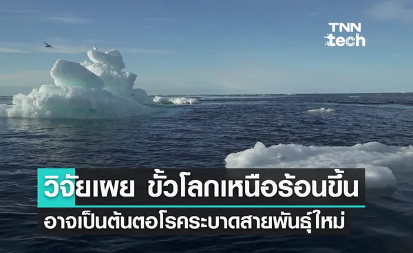 งานวิจัยใหม่เผย ขั้วโลกเหนือร้อนขึ้นอาจเป็นแหล่งเพาะพันธุ์โรคระบาด