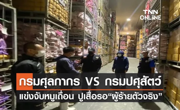 กรมศุลกากร VS กรมปศุสัตว์ แข่งจับหมูเถื่อน ปูเสื่อรอ “ผู้ร้ายตัวจริง”