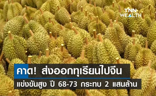 คาด! ส่งออกทุเรียนไปจีนแข่งขันสูง ปี 68-73 กระทบ 2 แสนล้าน 