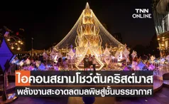 ไอคอนสยามโชว์ต้นคริสต์มาสพลังงานสะอาดลดมลพิษสู่ชั้นบรรยากาศ