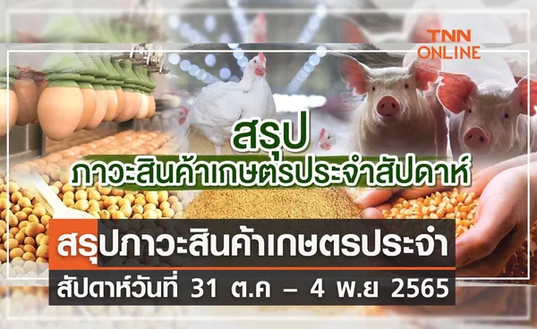 สรุปภาวะสินค้าเกษตรประจำสัปดาห์ วันที่ 31 ตุลาคม – 4 พฤศจิกายน 2565