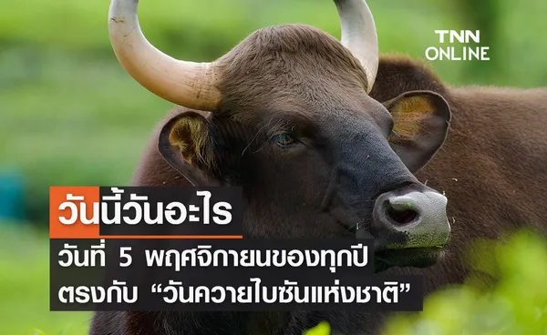 วันนี้วันอะไร 5 พฤศจิกายน ตรงกับ “วันควายไบซันแห่งชาติ” 