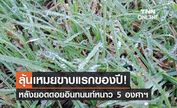 เชียงใหม่ลุ้น ‘เหมยขาบแรกของปี’ หลังอินทนนท์ลดฮวบ 5 องศาฯ 