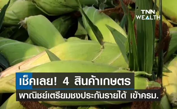 เช็คเลย! 4 สินค้าเกษตร พาณิชย์ชงประกันรายได้ เข้าครม. 