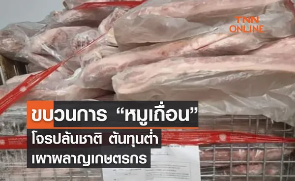 ขบวนการ “หมูเถื่อน”...โจรปล้นชาติ ต้นทุนต่ำเผาผลาญเกษตรกร