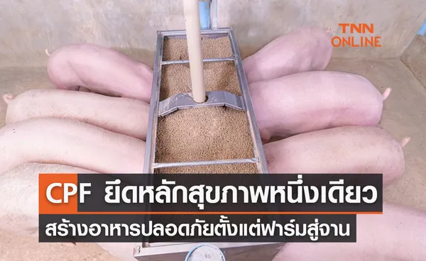 CPF ยึดหลักสุขภาพหนึ่งเดียว (One Health) มุ่งเน้นสวัสดิภาพสัตว์ สร้างอาหารปลอดภัยตั้งแต่ฟาร์มสู่จาน