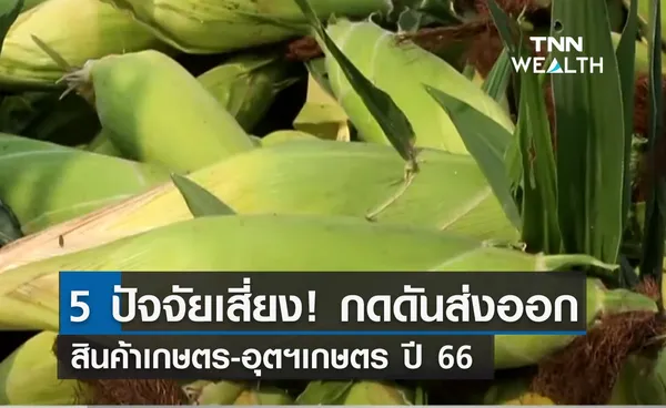 เผย 5 ปัจจัยเสี่ยง! กดดันส่งออกสินค้าเกษตร-อุตฯเกษตร ปี 66 